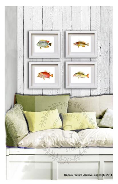 Tropical Fish Wall Art Decor For Bathroom Set Of 4 Unframed Tropical Fish Bathroom Decor - image 1