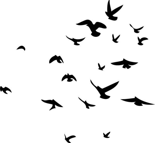 Flock Of Birds Printable Wall Art
