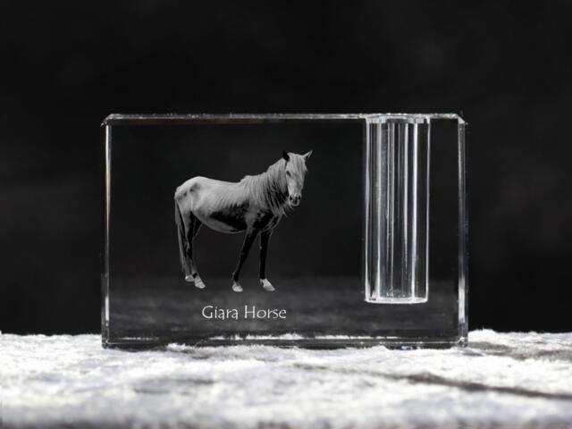 Giara Horse , Crystal Pen Holder With Horse, Souvenir, Decoration, Limited Edition, Collection - image 1