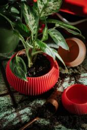 Medium Planter 71P01.500.red/3D Printed Plant Pot Ecofriendly & Geometric Minimalist Modern - thumbnail 1