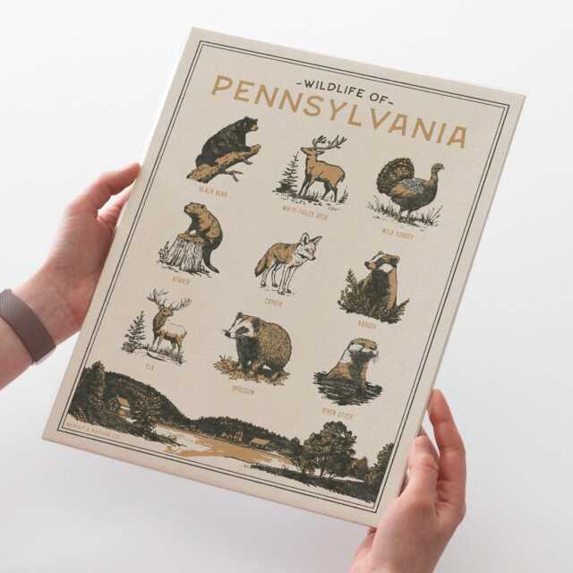 Pennsylvania Wildlife Wall Art Print - Vintage Poster Design, Archival Quality Matte Fine Art Print. Outdoor, Wilderness Gift - image 1