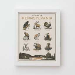 Pennsylvania Wildlife Wall Art Print - Vintage Poster Design, Archival Quality Matte Fine Art Print. Outdoor, Wilderness Gift - thumbnail 2