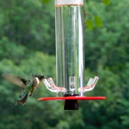 Hummingbird Feeder Hb-1 By Peter's Feeders The Unique Design Let's You Actually See The Birds Drinking - thumbnail 3