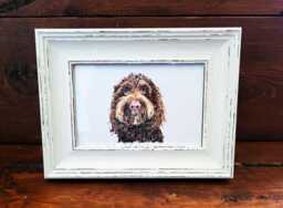Cockapoo Print 17x12cm - White Rustic Frame - Fluffy Hybrid Wall Art, Gift For Owners
