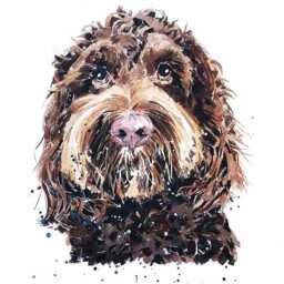 Cockapoo Print 17x12cm - White Rustic Frame - Fluffy Hybrid Wall Art, Gift For Owners - thumbnail 2