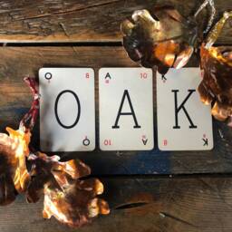 Large Broad Copper Oak Leaf - thumbnail 4