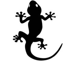 Gecko Vinyl Car Bonnet Hood Side Sticker Decal Graphic Wall Art Van Campervan Motorhome Sign Window Door Lizard Reptile