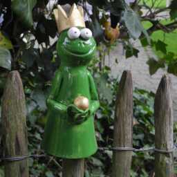 Fence Sitter Frog Prince - thumbnail 2