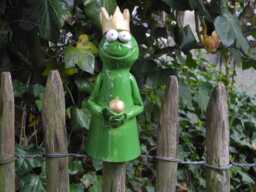 Fence Sitter Frog Prince - thumbnail 1