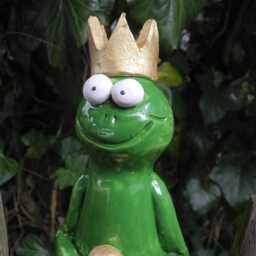 Fence Sitter Frog Prince - thumbnail 3