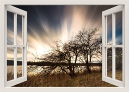 Trees At Sunset Wall Decal, Sun Rise Sticker, 3D Window View Nature Mural, Frame Living Room Home Decor