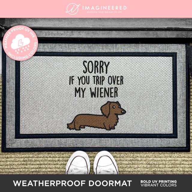 Sorry If You Trip Over My Wiener - Outdoor Dog Mat Lover Doormat Funny Welcome Dachshund Washable Rug Dogs - image 1