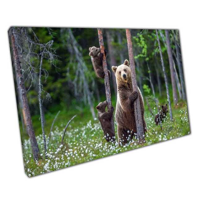 Mother Bear & Cubs Woodland Canvas Art Rustic Nature Decor For Nursery, Home, Or Office - image 1