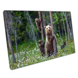Mother Bear & Cubs Woodland Canvas Art Rustic Nature Decor For Nursery, Home, Or Office - thumbnail 1