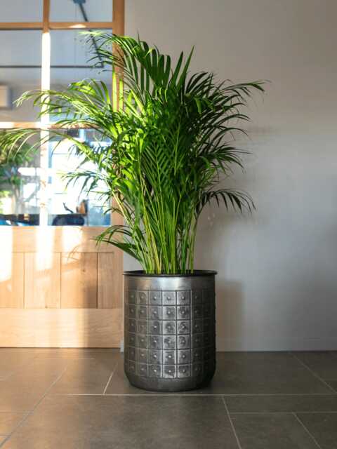 Tobi Lead Metal Plant Pot, Handmade, Xl, Multiple Sizes, D27cm -D41cm, Liner Included - image 1