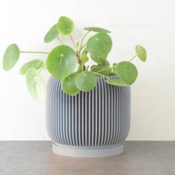 "Ribbed Modern Planter With Drainage & Saucer in Gray, Unique 3D-Printed Plant Pot, Small To Large Sizes 4"" 5"" 6"" 7"" 8" - thumbnail 2