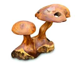 Teak Root Double Wild Mushroom Garden Sculpture 35cm