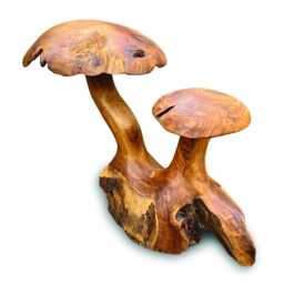 Teak Root Double Wild Mushroom Garden Sculpture 35cm - thumbnail 3