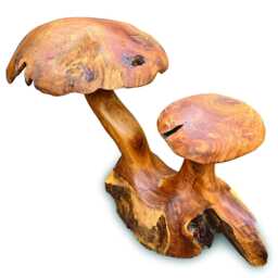 Teak Root Double Wild Mushroom Garden Sculpture 35cm - thumbnail 4
