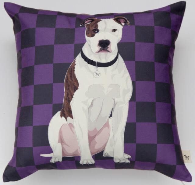 Pittbull Pillow - White - image 1