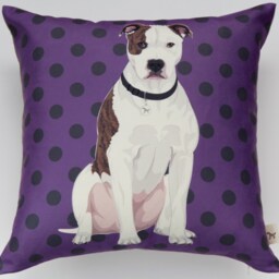 Pittbull Pillow - White - thumbnail 2