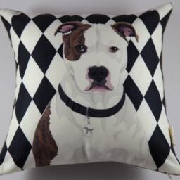 Pittbull Pillow - White - thumbnail 3