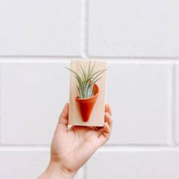 Ceramic Wall Planter, Tiny By Carter + Rose - thumbnail 1