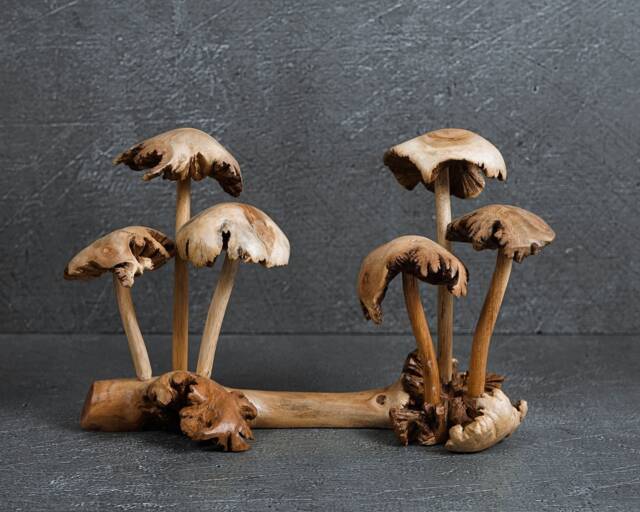 Exotic Wood Mushroom Figurine Handicraft 9 - image 1