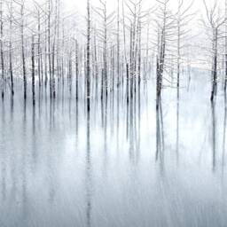 3D Winter Branches Wallpaper, Ice Scenery Wall Mural - Peel & Stick - thumbnail 3