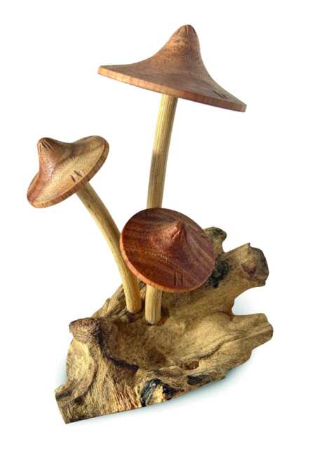 3 Parasol Mushrooms On Driftwood, Hand-Carved Mushroom Cluster - image 1