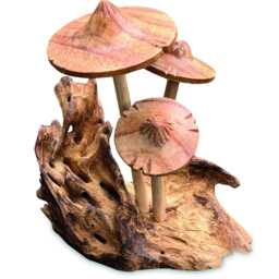 3 Parasol Mushrooms On Driftwood, Hand-Carved Mushroom Cluster - thumbnail 2