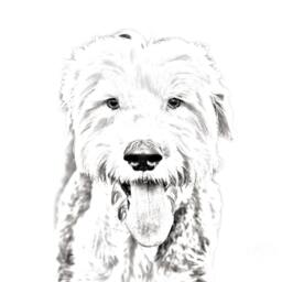 Old English Sheepdog - Wooden Stand For Candles/Pens With The Image Of A Dog New Collection - thumbnail 2