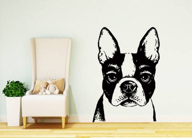 Fawn Boston Terrier Decal Dog Wall Decals Veterinary Vinyl Stickers Pets Shop Grooming Salon Decor Home Chu778 - image 1