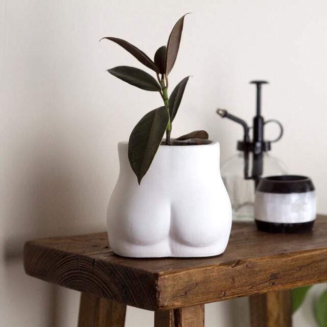 Concrete Bum Planter Handmade Indoor Plant Pot - image 1
