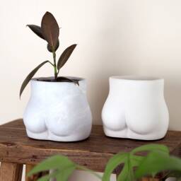 Concrete Bum Planter Handmade Indoor Plant Pot - thumbnail 2