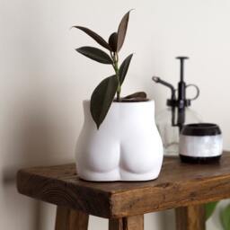 Concrete Bum Planter Handmade Indoor Plant Pot - thumbnail 1