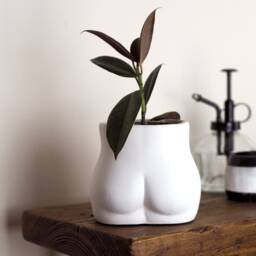 Concrete Bum Planter Handmade Indoor Plant Pot - thumbnail 3