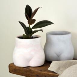 Concrete Bum Planter Handmade Indoor Plant Pot - thumbnail 4
