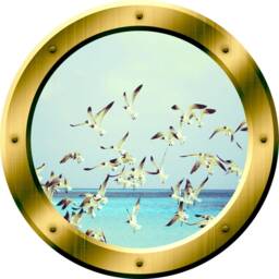 Vwaq Seagull Wall Decal Flock Of Seagulls Stickers Porthole Peel & Stick - Gp37 - thumbnail 2