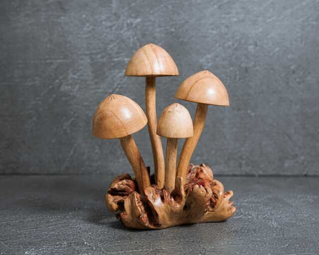Parasite Wood Mushroom Statue Exotic Tabletop Decor 5 - image 1