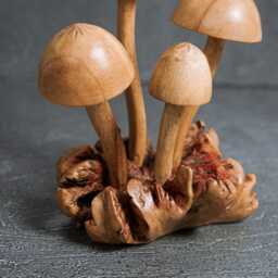 Parasite Wood Mushroom Statue Exotic Tabletop Decor 5 - thumbnail 4