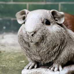 Garden Guinea Pig Sculpture Concrete Figurine Pet Statue Stone Animal Memorial Decoration Cement Rodent Ornament Pig Lover Gift - thumbnail 3