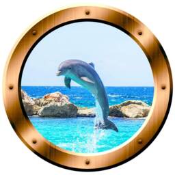 Dolphin Porthole Vinyl Wall Decal Porpoise Mural Art - Vwaq Bp30 - thumbnail 2