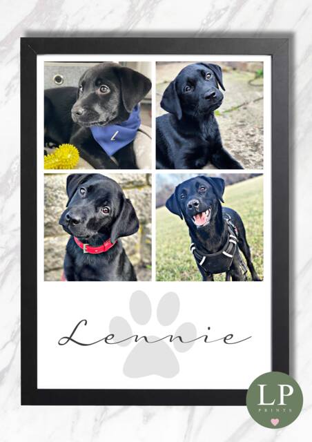Personalised Pet Photo Print Dog Owner Puppy Love Gift Cat Paw - image 1