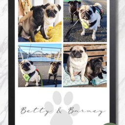 Personalised Pet Photo Print Dog Owner Puppy Love Gift Cat Paw - thumbnail 2