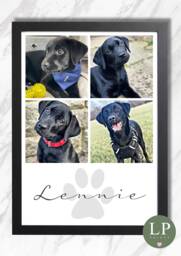 Personalised Pet Photo Print Dog Owner Puppy Love Gift Cat Paw - thumbnail 1