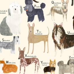 Dog Breeds Alphabet Print - A-Z Identification Poster Dogs Breed Pet Woof Puppy Gift Educational Wall Art Home Decor - thumbnail 2