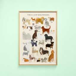Dog Breeds Alphabet Print - A-Z Identification Poster Dogs Breed Pet Woof Puppy Gift Educational Wall Art Home Decor - thumbnail 1