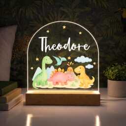 Personalised Led Dinosaur Light, Kids Night Light Lamp, Gifts For Bedroom, Birthday Kids, Boys Bedroom Nursery - thumbnail 2