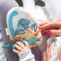 Personalised Dinosaur Crinkle Book - Baby Shower Gift, Newborn Sensory Montessori Toy - thumbnail 2